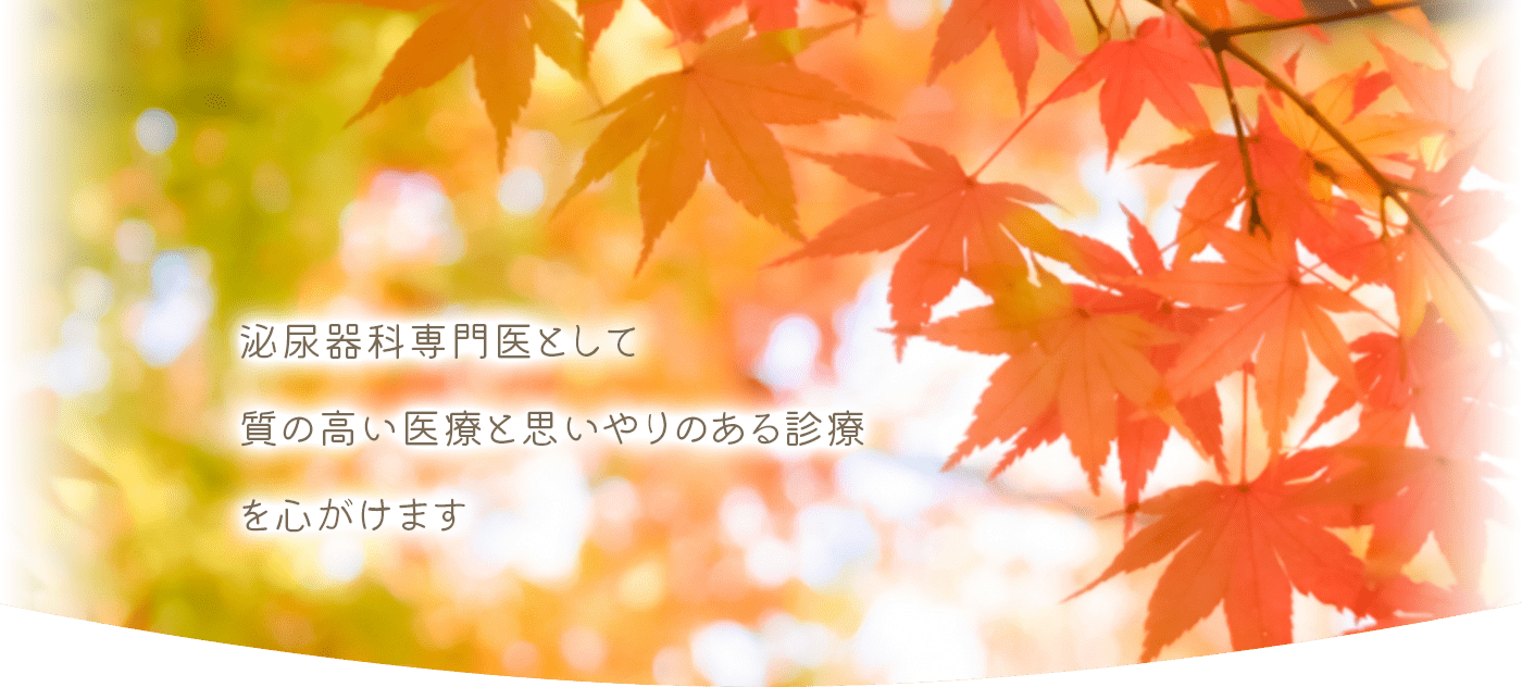 門前仲町駅徒歩3分のもんなか泌尿器科では泌尿器科専門医として質の高い医療と思いやりのある診療を心がけます